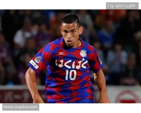 甲府风林与松本山雅比赛数据深度分析与战术对比探讨 甲府风林与松本山雅比赛数据深度分析与战术对比探讨